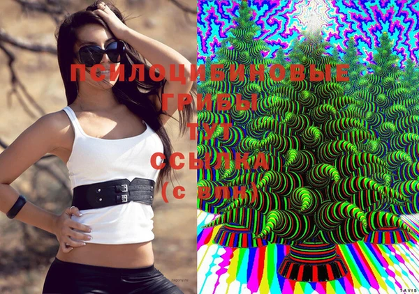 jwh Абинск