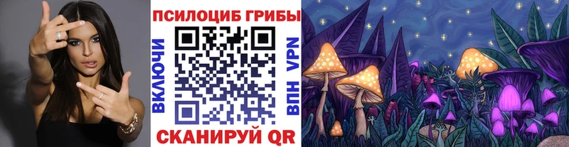 где купить наркоту  Холм  Галлюциногенные грибы MAGIC MUSHROOMS 