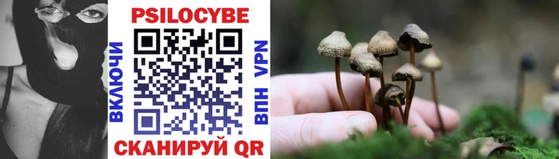 Галлюциногенные грибы мицелий Холм